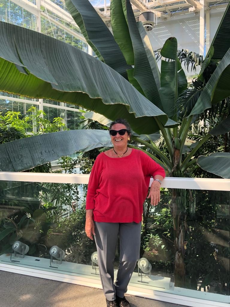 Vacanza termale Grey Panthers